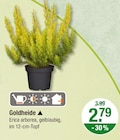 V-Markt Türkheim Prospekt mit  im Angebot für 2,79 €