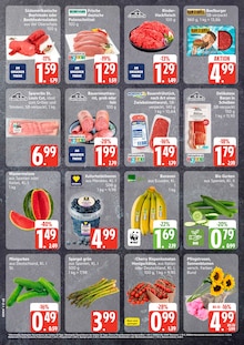 Blumen im aktuellen EDEKA Prospekt (Hamburg) Blumen im EDEKA Prospekt "Top Angebote" mit 5 Seiten (Hamburg)