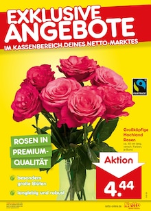 Pflanzen im aktuellen Netto Marken-Discount Prospekt (Aachen) Pflanzen im Netto Marken-Discount Prospekt "Aktuelle Angebote" mit 70 Seiten (Aachen)