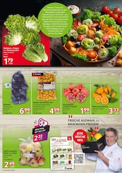 Apfel-Rotkohl Angebote im Prospekt "cash & carry" von Selgros auf Seite 3
