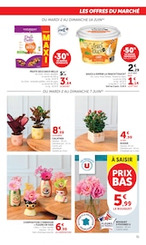 Promos Jardinage dans le catalogue "U Express" de U Express Jardinage en promo dans le catalogue U Express à la page 31