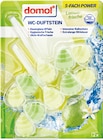WC-Duftsteine 5-fach Power im Angebot bei Rossmann in Magdeburg WC-Duftsteine 5-fach Power Angebote von Domol bei Rossmann Magdeburg für 1,59 €