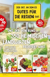 Gemüse im Netto Marken-Discount Prospekt in Gelsenkirchen Aktueller Netto Marken-Discount Prospekt mit Gemüse, "Neueröffnung - 10% auf ALLES", Seite 3