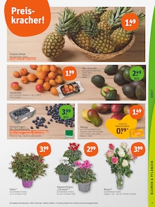 Ananas im aktuellen tegut Prospekt (Stuttgart) Ananas im tegut Prospekt "tegut… gute Lebensmittel" mit 28 Seiten (Stuttgart)