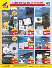 Blumentopf im Netto Marken-Discount Prospekt in Solingen Aktueller Netto Marken-Discount Prospekt mit Blumentopf, "Aktuelle Angebote", Seite 50