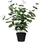Topfpflanz aus Kunstmaterialien im Angebot bei Rusta in Bergheim Topfpflanz aus Kunstmaterialien Angebote bei Rusta Bergheim für 7,70 €