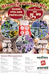 Blumenzwiebeln im Garten-Center Nordharz GmbH & Co. KG Prospekt in Braunschweig Aktueller Garten-Center Nordharz GmbH & Co. KG Prospekt mit Blumenzwiebeln, "MEINE LIEBLINGSFARBE IST OKTOBER", Seite 14