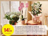 Promo Plante fleurie prêt à offrir à 14,99 € dans le catalogue Intermarché à Moirans
