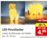 LED-Porzellantier im aktuellen Zimmermann Prospekt