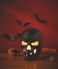 LED-Totenkopf bei Lidl im Prospekt "" für 4,99 €
