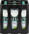 Mineralwasser im Angebot bei Globus-Baumarkt in Homburg Mineralwasser Angebote von Schwollener bei Globus-Baumarkt Homburg für 2,59 €