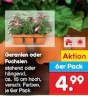 Aktuelles Geranien oder Fuchsien Angebot bei Netto Marken-Discount in Kassel ab 4,99 €