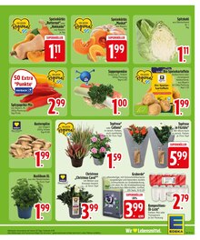 Blumen im aktuellen EDEKA Prospekt (Augsburg) Blumen im EDEKA Prospekt "Wir lieben Lebensmittel." mit 32 Seiten (Augsburg)