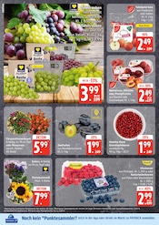 Blumen im EDEKA Prospekt in Stade Aktueller EDEKA Prospekt mit Blumen, "Top Angebote", Seite 6