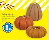 Aktuelle Kürbis Angebote bei TEDi in Chemnitz Aktuelles Deko-Kürbis Angebot bei TEDi in Chemnitz ab 1,00 €