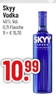 Aktuelles Skyy Angebot bei Trinkgut in Augsburg ab 10,99 €