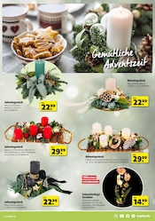 Aktueller Hagebaumarkt Prospekt mit Orchidee, "VERSCHÖNERE MIT UNS DEINEN GARTEN", Seite 11