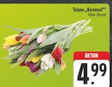 Aktuelles Tulpen „Karneval“ Angebot bei E center in Dresden ab 4,99 €