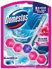 Power 5 Blauspüler oder WC Stein Power 5 von Domestos für 1,29 € bei REWE im Angebot Power 5 Blauspüler oder WC Stein Power 5 von Domestos im aktuellen REWE Prospekt