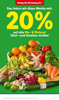 Bio Orangen Angebot im aktuellen Lidl Prospekt auf Seite 3