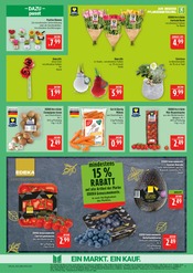 Garten im Marktkauf Prospekt in Coburg Aktueller Marktkauf Prospekt mit Garten, "AUSWAHL RIESIG, PREISE NIEDRIG", Seite 9