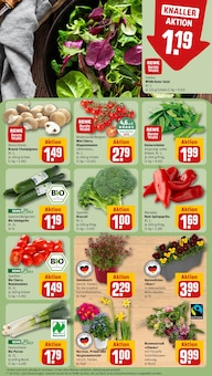 Narzissen im REWE Prospekt "Dein Markt" mit 24 Seiten (Frankfurt (Main))