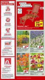 Lidl Blumen Angebot ᐅ Finde den Preis im aktuellen Prospekt