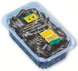 Moule de Hollande en promo chez Super U Nancy à 5,95 €