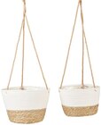 Set hängende Pflanzenkörbe im aktuellen Penny Prospekt für 9,99 €