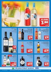 Likör im Marktkauf Prospekt in Hof Aktueller Marktkauf Prospekt mit Likör, "AUSWAHL RIESIG, PREISE NIEDRIG", Seite 25