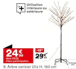 Promo Arbre cerisier Uliz H. 150 cm à 24,99 € dans le catalogue But à Riom