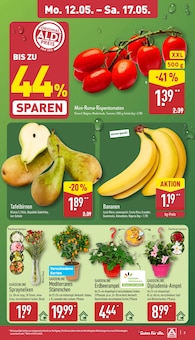 Beerensträucher Angebot im aktuellen ALDI Nord Prospekt auf Seite 3