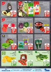 Gemüse im EDEKA Prospekt in Neumünster Aktueller EDEKA Prospekt mit Gemüse, "Top Angebote", Seite 7