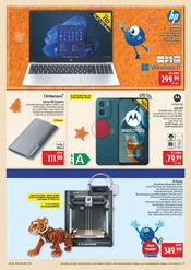 Aktueller Marktkauf Prospekt mit Bodenbelag, "AUSWAHL RIESIG, PREISE NIEDRIG", Seite 41