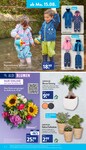 Schnittblumen Schnittblumen