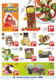 Tomaten im aktuellen E center Prospekt (Nürnberg) Tomaten im E center Prospekt "Wir lieben Lebensmittel!" mit 38 Seiten (Nürnberg)