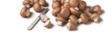 tegut Alsfeld - Bio-Champignons braun Angebot im Prospekt Bio-Champignons braun bei tegut im Alsfeld Prospekt für 1,99 €