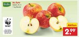 Bio Äpfel im Angebot bei Netto Marken-Discount in Wunstorf Bio Äpfel Angebote von BioBio bei Netto Marken-Discount Wunstorf für 2,99 €