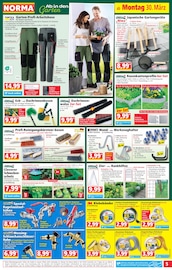 Steine im Norma Prospekt in Regensburg Aktueller Norma Prospekt mit Steine, "Mehr fürs Geld", Seite 6