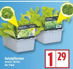 Salatpflanzen für 1,29 € bei EDEKA im Angebot Salatpflanzen im aktuellen EDEKA Prospekt