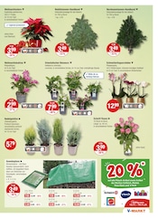 Aktueller V-Markt Prospekt mit Holz, "V-Markt einfach besser einkaufen", Seite 17