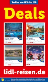 Disney im Lidl Prospekt in Aachen Aktueller Lidl Prospekt mit Disney, "LIDL LOHNT SICH", Seite 66