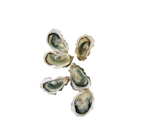 Promo Huîtres fines de claire marennes oléron IGP label rouge à 9,99 € dans le catalogue Supermarchés Match à Heillecourt