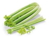 REWE Sonsbeck - Bio Staudensellerie Angebot im Prospekt Bio Staudensellerie bei REWE im Sonsbeck Prospekt für 1,89 €