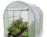 Foliengewächshaus Angebote von Top Flora bei Wreesmann Cottbus für 49,99 €