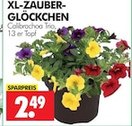 XL-ZAUBER-GLOCKCHEN im Angebot bei Wreesmann in Stendal XL-ZAUBER-GLOCKCHEN Angebote bei Wreesmann Stendal für 2,49 €