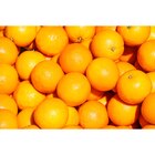 Oranges à dessert CARREFOUR Le Marché en promo à 2,69 € chez Carrefour Market Oranges à dessert CARREFOUR Le Marché dans le catalogue Carrefour Market