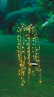 Solar-Stecker Weide von GARDEN DREAM für 6,99 € bei Netto mit dem Scottie im Angebot Solar-Stecker Weide von GARDEN DREAM im aktuellen Netto mit dem Scottie Prospekt