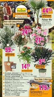 Blumentopf im Hornbach Prospekt "Du willst es. Dann bau es." mit 36 Seiten (Erlangen)