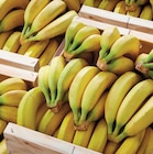 Banane à Netto dans Les Angles-sur-Corrèze Banane à Netto dans Les Angles-sur-Corrèze